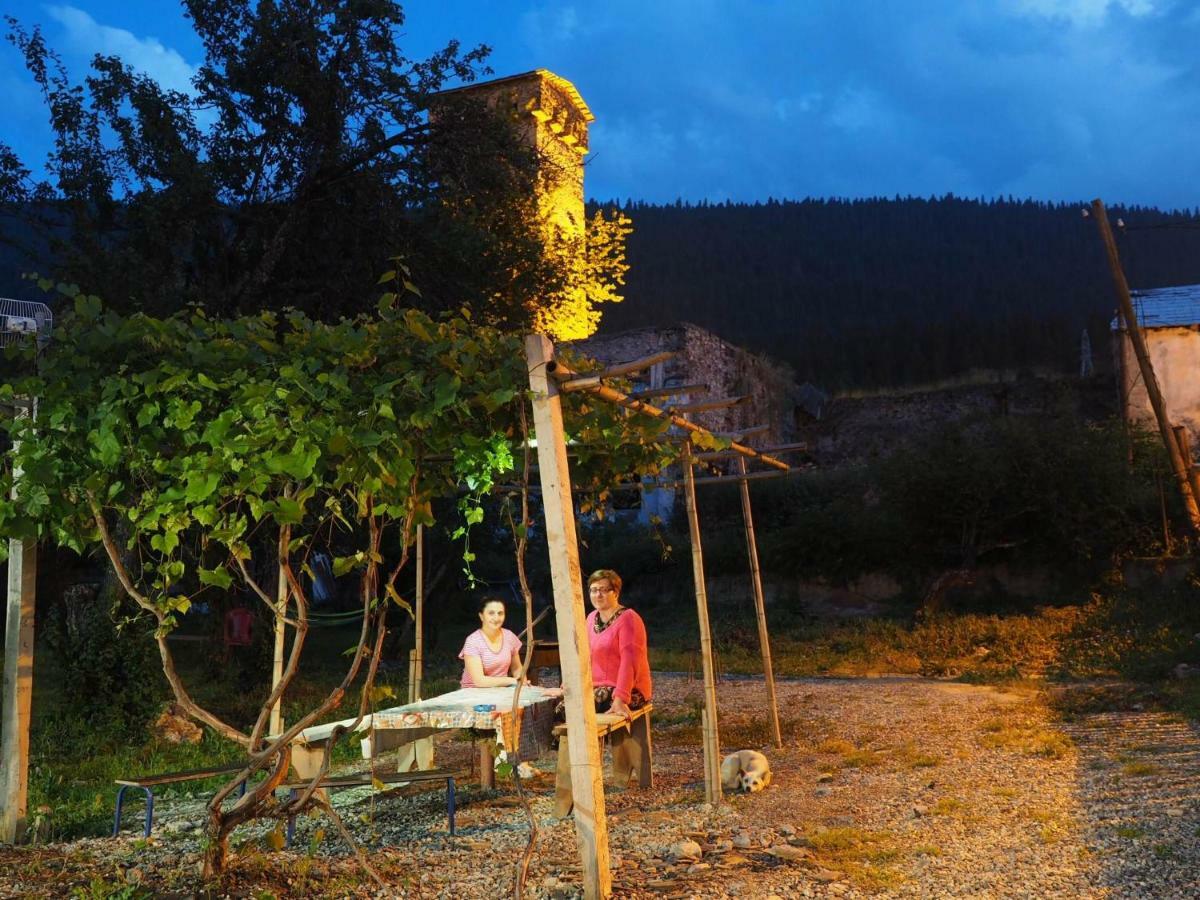 Inga Jafaridze Guesthouse Pele Mestia Bagian luar foto